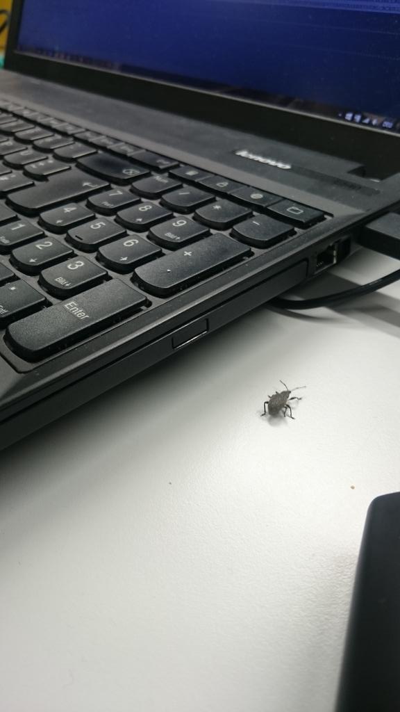 iGEMHeidelberg's tweet image. Debugging taking place... #randomcode