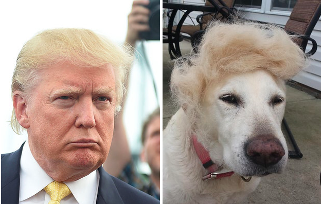 who wore it better?
