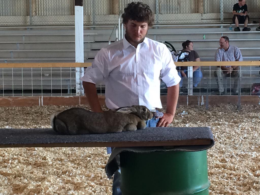 4-H Rabbit Show at the Jackson County fair <a href="/4HJacksonCounty/">Jackson County 4-H</a>