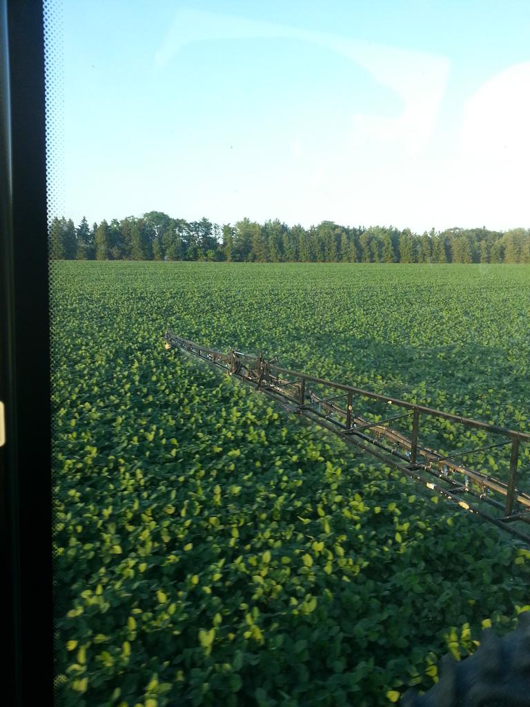 AlanWood247's tweet photo. #Priaxor #PrideSeeds #xtends #alpine SRN . Good evening to spray fungicide and fertilizer on a good looking crop! http://t.co/N5m74vsGRs