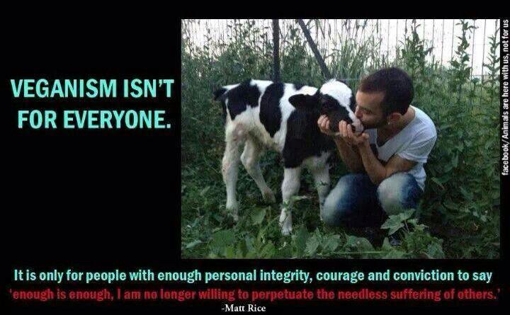 Stephi_Le's tweet photo. #Veganism isn't for everyone...#farm365 #animalrights #govegan #aggag #enterreality #stopeatinganimals #meatismurder http://t.co/V6ad6rZrGe