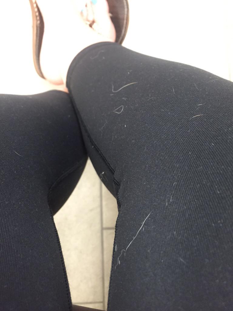 ShannaSurvive's tweet image. I can never escape the dog hair. #corgiproblems