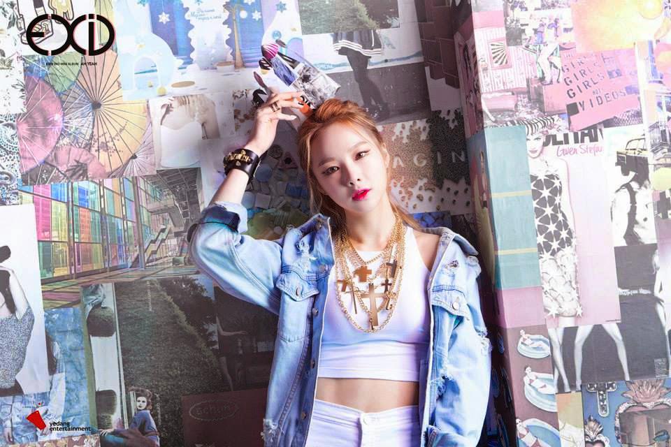 Follow @XEXID_DC tweet media