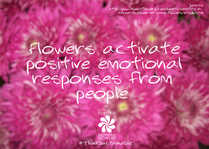 florverdeorg's tweet photo. #FollowMeTuesday is you love flowers and care who produce them! http://t.co/aokuQ926HJ