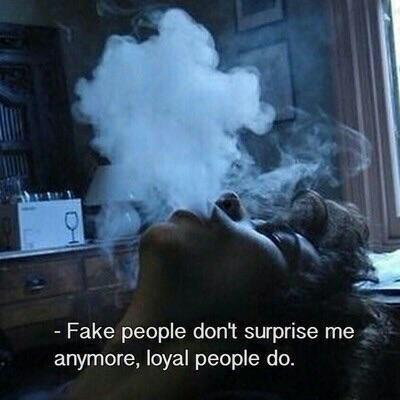 MegD__x tweet picture