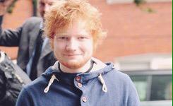 EdiGinger's tweet image. 