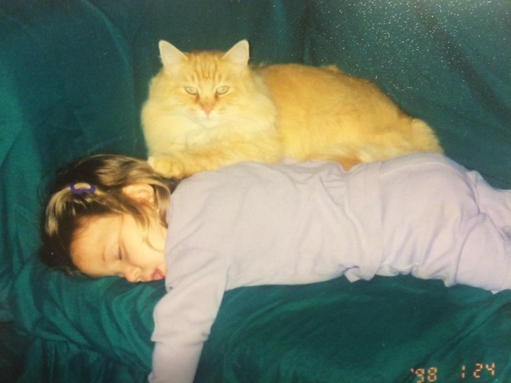 pixie_dusk's tweet image. mood :