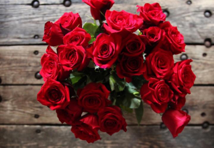 Pretty roses for a pretty boy.
<a href="/FckingLcis/">Louis</a>