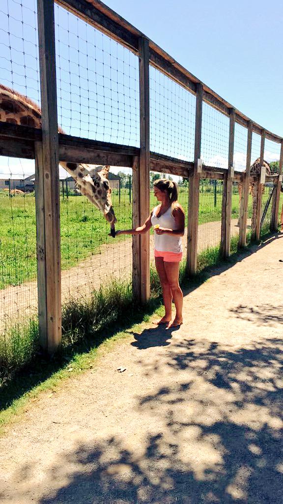 jessistojowski's tweet photo. My favourite animal💛 http://t.co/iD0XRBRPJT