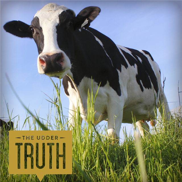 jtiltonflood's tweet photo. #moms have questions about where #food comes from- get the answers. The #UdderTruth http://t.co/WyWgCkL7nj http://t.co/xDSeCYAIjA