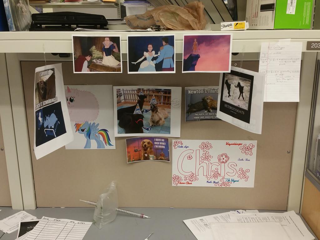 HarvardiGEM2015's tweet photo. What happens when our mentor leaves us at night. #igem2015 #labshenanigans http://t.co/uvY1yQkses