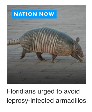 ADavidHaleJoint's tweet photo. Oh, Florida. You’re just the best… http://t.co/PcbXVvWhNn