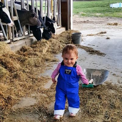 Looking 4 votes 4my niece's #CelebrateDairy pic! Please click bit.ly/1TDk5ae & find 'Lending a Helping Hand'!