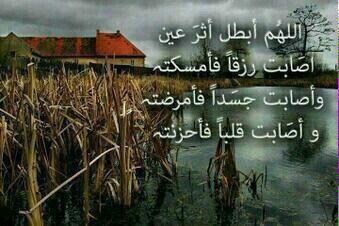 abomshare91's tweet photo. http://t.co/8q109H43yx