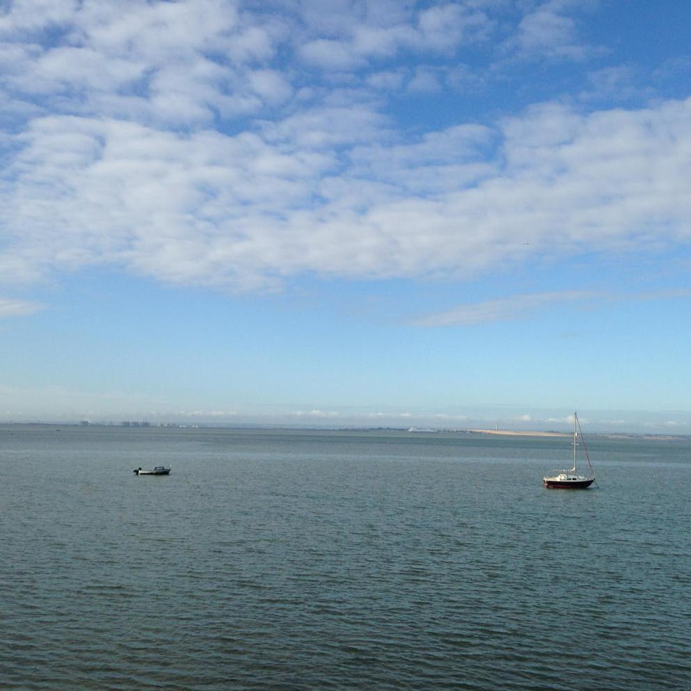 erm_deedor's tweet image. Little fluffy clouds
#leighonsea
#chalkwell
#fancyaswim 🏊🏽