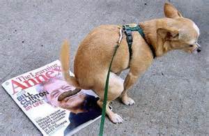 DeanL2519's tweet image. This is what dogs thing about Bill Clinton, (he is a peace of