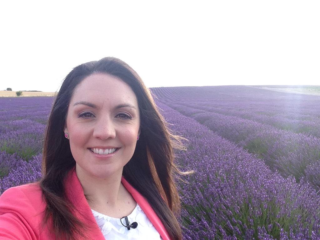 Lauratobin1's tweet photo. What a stunning view to wake up to. Lavender stretching as far as the eye can see #purple @HitchinLavender @gmb http://t.co/3n8Vk3hmtI