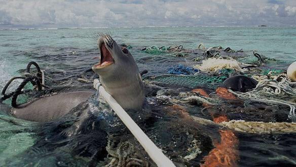 MikealRome's tweet photo. You are not the only ones living on this earth http://t.co/tFAQzeeZPM"