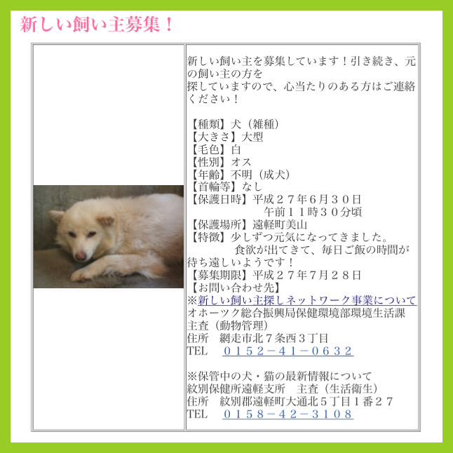 doubutukyushutu's tweet photo. 拡散RT @11Joyoren 【北海道紋別保健所遠軽支所】里親募集　期限７／２８
雑種♂年齢不明
少しずつ元気に！
食欲が出てきて毎日ご飯の時間が待ち遠しいよう！
お問合せ⇒http://t.co/RicOrQmGsT
お願いします http://t.co/yDDyoRexsl