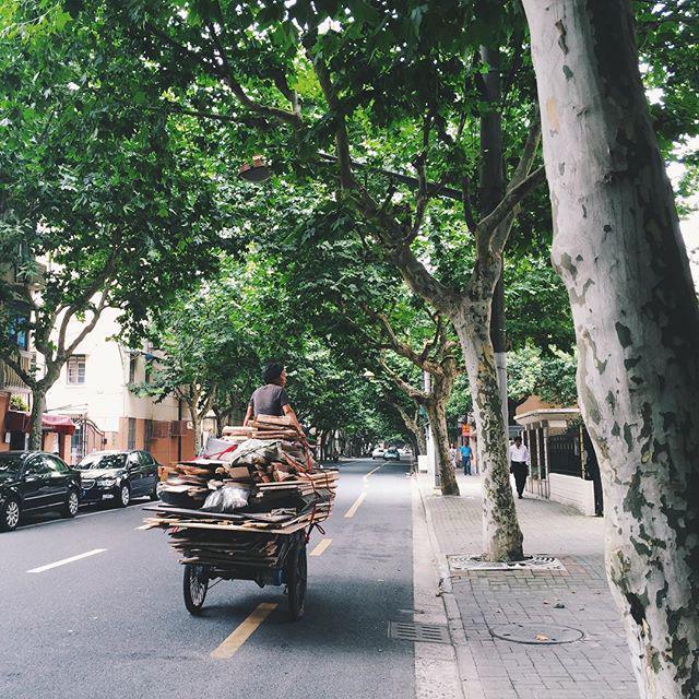 veronicadarling's tweet image. And just stopped riding for another #widrn, the streets are so lovely and cool under these… ift.tt/1gNjynV