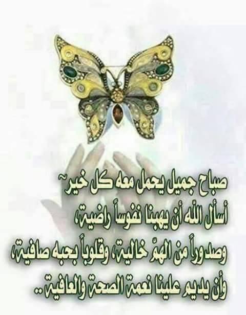 AssarhanB's tweet image. 