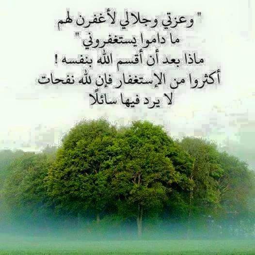 AssarhanB's tweet image. 