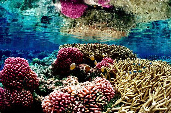 UN Environment Programme tweet media