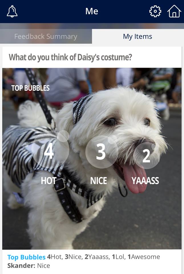 #WDYT
Like to dress up your pets in a costume? Share it on GetYou and find out how other get your photo!