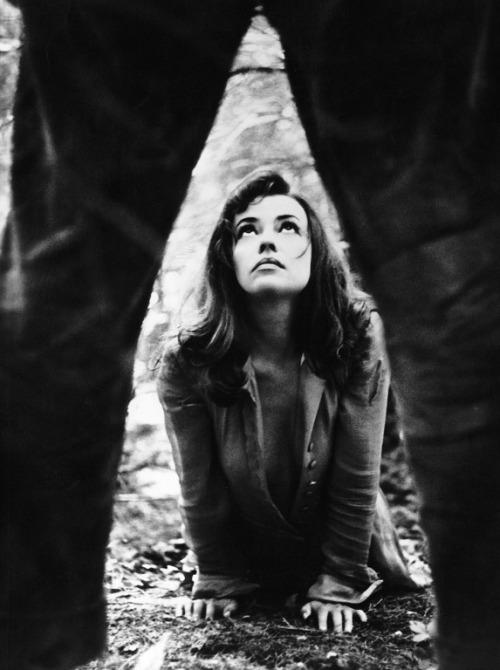 lecinema_'s tweet image. Jeanne Moreau in &quot;Mademoiselle&quot; (Tony Richardson, 1966)