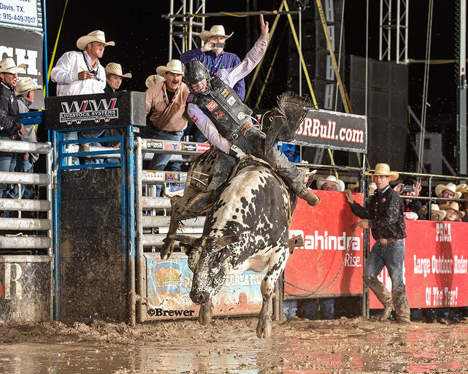 2015 #CBR World Champion <a href="/CodyLTeel/">Cody L. Teel</a> <a href="/CheFrontierDays/">Cheyenne Frontier Days</a> #CBRCheyenne #RoadtoCheyenne cbrbull.com/news.html?n_id…