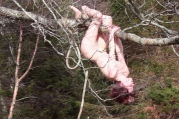 Nudes Tied To Trees Videos 21