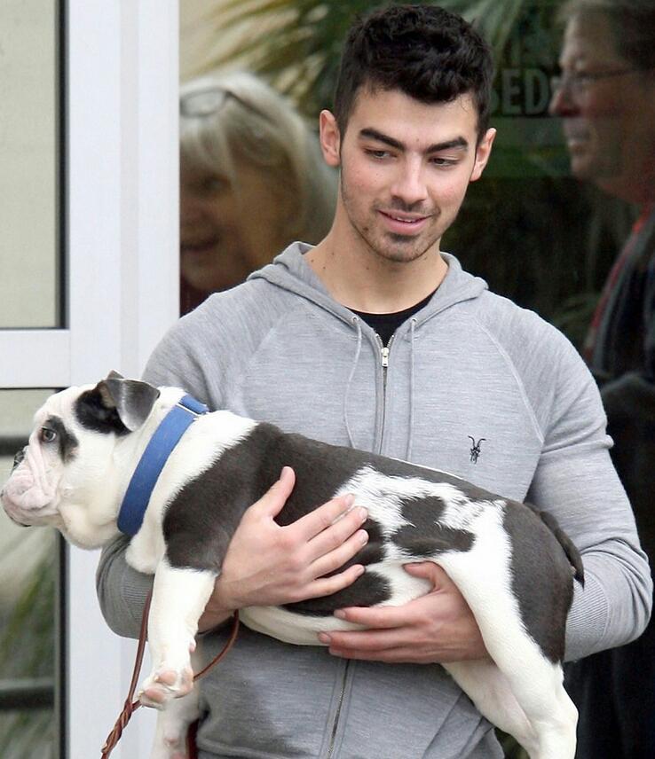 rkvrpwp's tweet photo. elvis y winston #GrowingUpAJonasFan http://t.co/8P5URdt0Fj