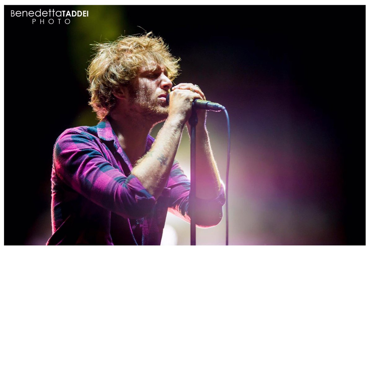 benedictataddei's tweet photo. @PaoloNutini #paolonutini  #bigArtist #collisioni2015  #musicalive #fotoconcerti #benedettataddeiphoto  #festival http://t.co/pr7jCm6u6p