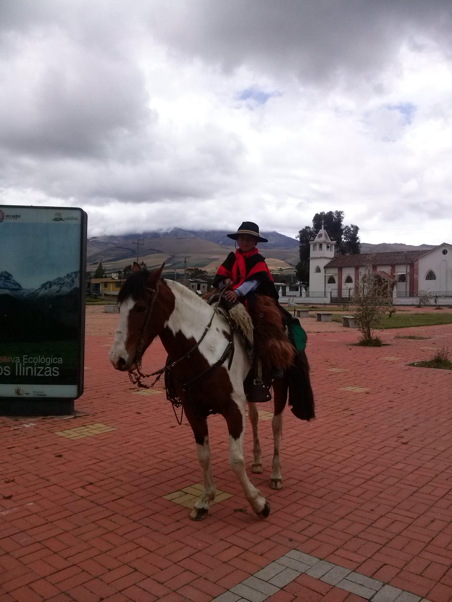 luisguamant's tweet photo. http://t.co/qBFdkOQyVG