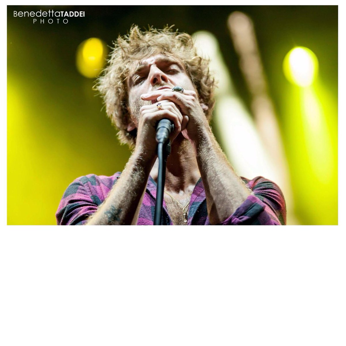 benedictataddei's tweet photo. @PaoloNutini #paolonutini  #bigArtist #collisioni2015  #musicalive #fotoconcerti #benedettataddeiphoto  #festival http://t.co/dAIv7HWiIQ
