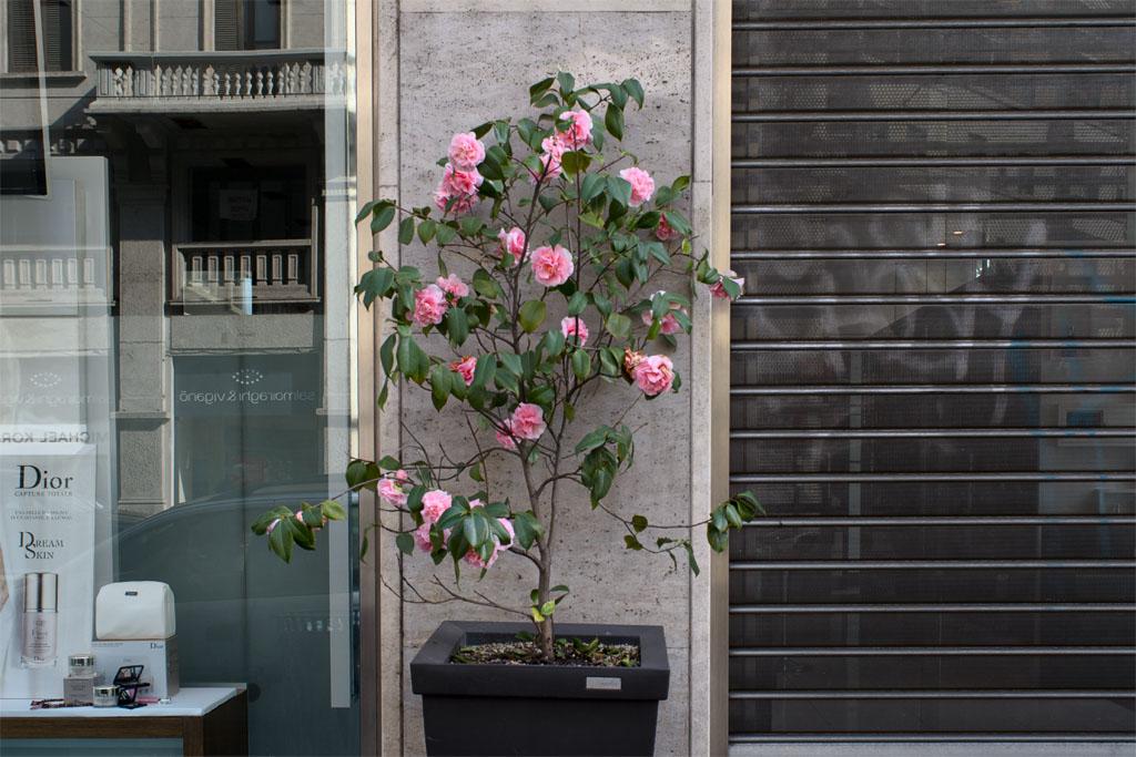 cabrabesol's tweet photo. Drifting in #Milano #psychogeography #photography #urban #landscape #geography #Italy #Anthropocene http://t.co/j4nFxrNSd6