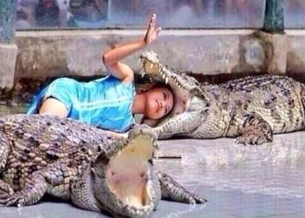 Nostalgia tweet media