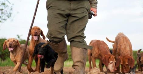 BASCNorth's tweet photo. Lancs Game &amp; Country Festival  -  Win a family ticket with @lancashirelife http://t.co/yZZlPMeIXP Pls RT @DuncanBASC http://t.co/1uCGdRV6cS