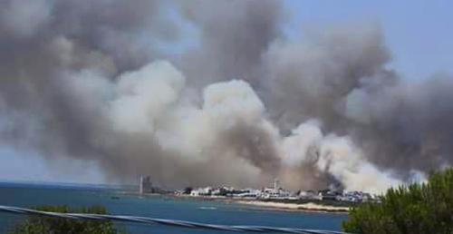 DominaSalento's tweet photo. Flora, fauna, auto e abitazioni! L'incendio alla Salina dei Monaci 😔... via @LoStrilloneNews http://t.co/pw0rPL8sKC http://t.co/9XZWUgiB7w