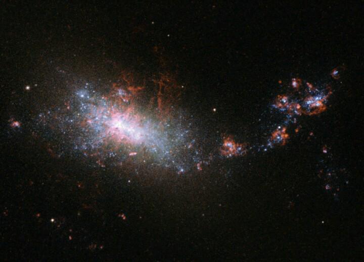 sameinfeld's tweet image. Just releasd pic of galaxy NGC 1140, located c.58 million light yrs from Earth. Courtesy of Hubble Space Telescope.
