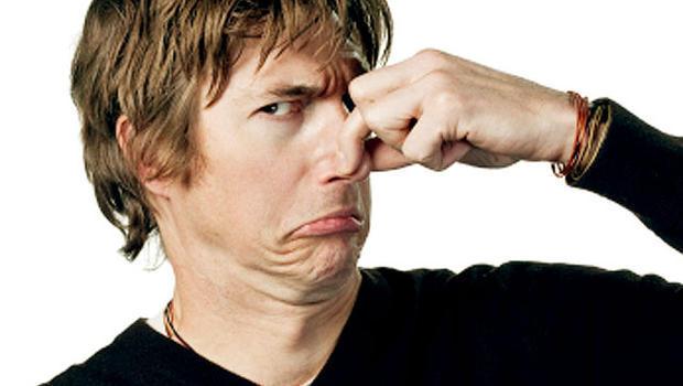 citrusolutioncu's tweet image. #summer heat making your #carpet #stink? Visit our website to schedule a #carpetcleaning today citrusolution.com