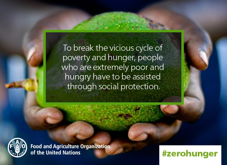 ZeroHunger's tweet image. Hunger can be eliminated w investments in social protection &amp;amp; #agriculture. #Zerohunger report bit.ly/1grAss5