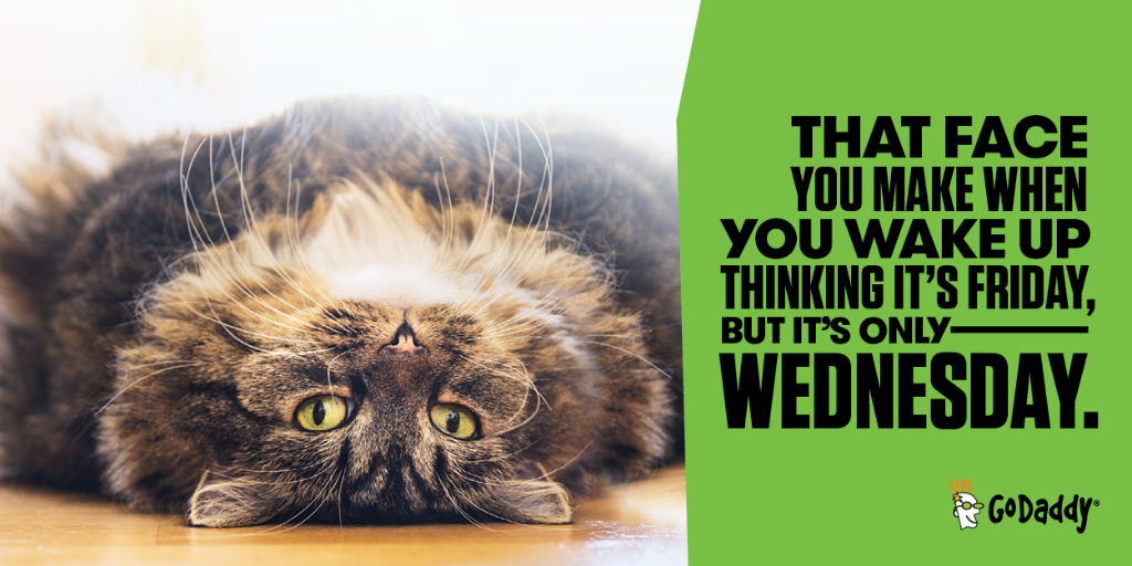GoDaddy's tweet image. Even worse, when you think it’s Friday but it’s Tuesday, (Monday’s ugly stepsibling). #SmallBizProblems