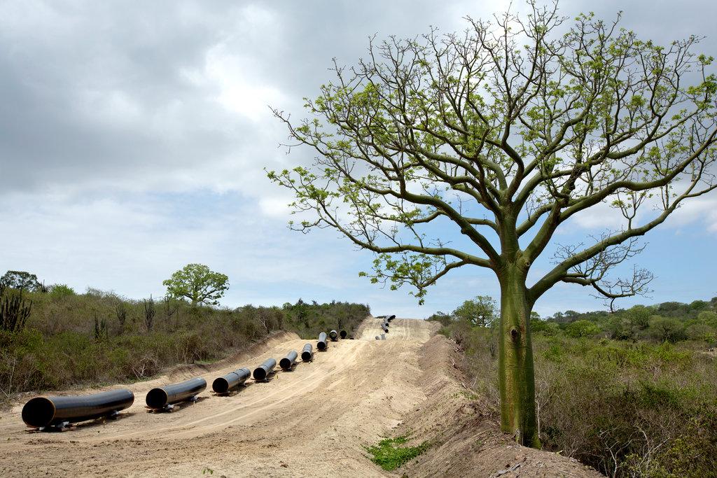 #金钱打造中国秩序   对于中国企业在南美进行投资，您觉得会在文化或经济领域产生哪些潜在的问题？我们期待您的反馈。欢迎参与讨论，我们可能会发表部分读者评论。