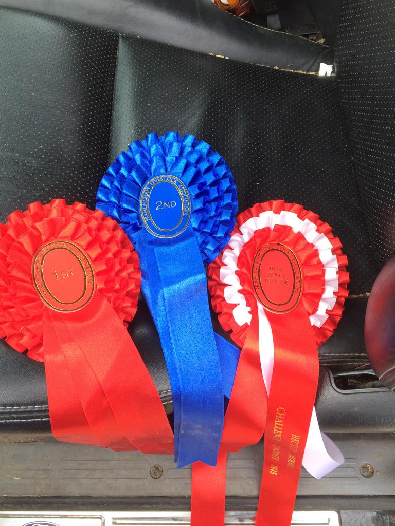 NatalieRampling's tweet image. Not a bad day showing!