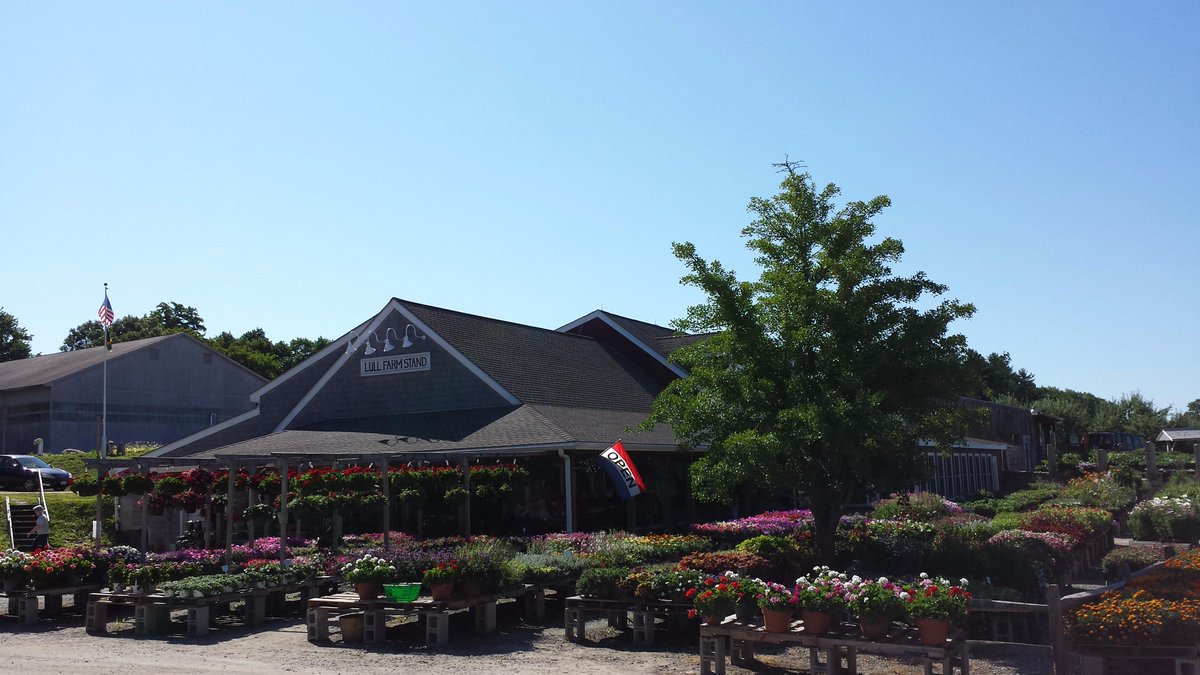 LullFarm's tweet photo. Our first tweet just had to be a picture of this glorious sunny day on the farm! #livefreeandfarm http://t.co/2Fm1mRjtoo