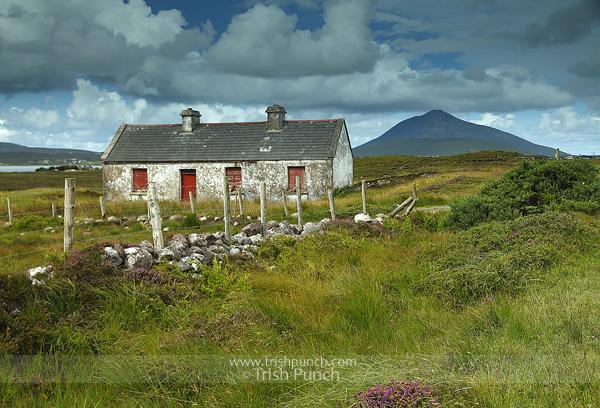 TrishPunch's tweet photo. #Inishbiggle festival starts August 1 #greatdayout @myinisbigil @MayoTI0 @MayoDotIE @allthingsmayo @achilltourism http://t.co/twaabwzGTn
