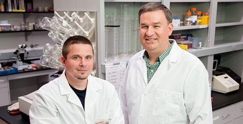 Natural Yeast Byproduct Found to Inhibit White-Nose Syndrome Fungus bit.ly/1LtBil8