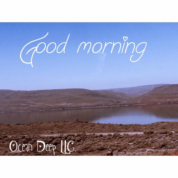 OceanDeepLLC's tweet image. 