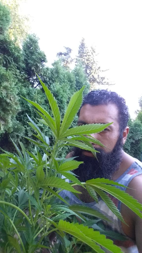  happy birthday to the Atomic Dog! Bow wow! Come to Oregon soon! We got treats. 